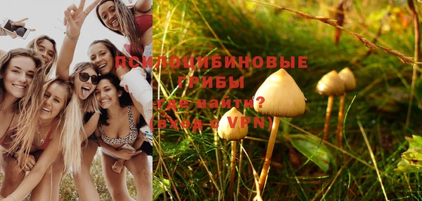 jwh Богородицк