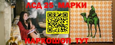 Альфа ПВП Сланцы