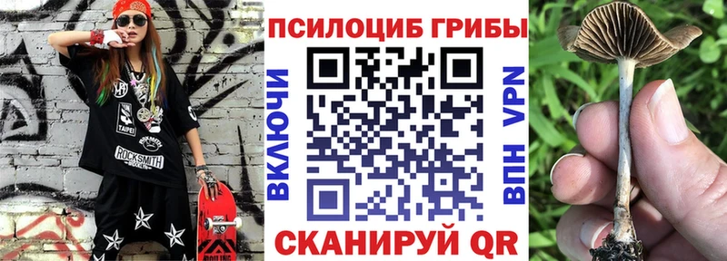 Галлюциногенные грибы прущие грибы Армавир