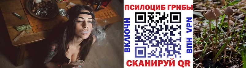 Псилоцибиновые грибы прущие грибы Армавир