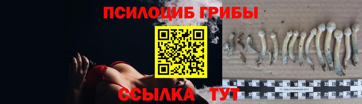 Псилоцибиновые грибы GOLDEN TEACHER  Вход с VPN  Псилоцибиновые грибы Psilocybine cubensis  Армавир 
